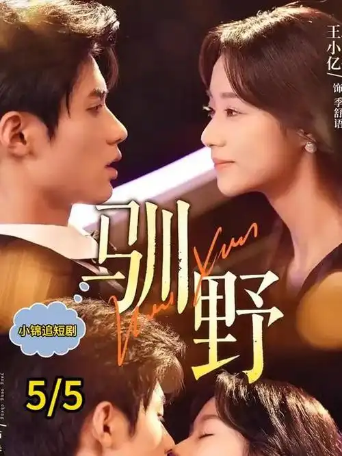 高清电影播放设置说明